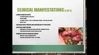 Exemplar 10 C Inflammatory Bowel Disease PPT Instructor Version
