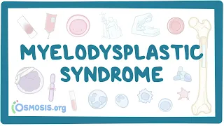 Myelodysplastic syndromes - causes, symptoms, diagnosis, treatment, pathology