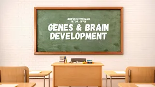 Lecture: Brain Development | Biological Psychology w/ Dr. Swan