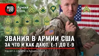 ЗВАНИЯ АРМИИ США. От рядового до сержанта. US Army. Rud&Co