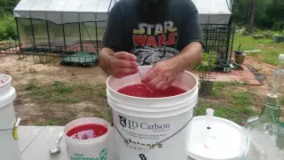 How To Make Watermelon Wine