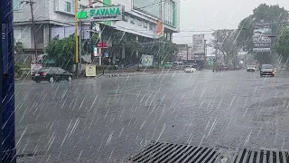 Heavy rain on the roads creates puddles & splashes when vehicles pass by | Rain sounds for Insomnia