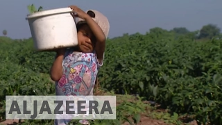 Talk to Al Jazeera - Kailash Satyarthi: Saving India's child slaves