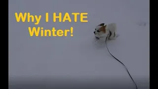 Why I Hate Winter & Always Will