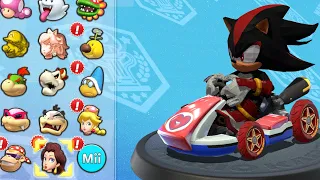 What if you play Shadow in Mario Kart 8 Deluxe (Fruit Cup)