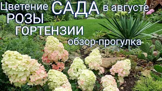 Чем спасал-обрабатывал РОЗЫ , Самарская Лидия оказалась ЛИДИЕЙ ! ) Новые покупки в наш САД .