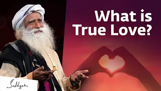 What is the Meaning of True Love?