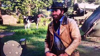 PS5 How To Make Red Dead Redemption 2 look incredible.