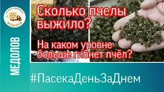 Подмор в пчелиных семьях. Выбор уровня для зимовки. Итоги зимовки. Кассетные павильоны