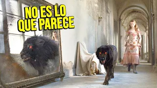 UNA NIÑA ENCUENTRA UN EXTRAÑO PERRO NEGRO, PERO EN REALIDAD ES UN MONSTRUO ATERRADOR | Resumen en 10