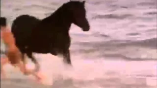 The Black Stallion: liberty video clip