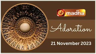 🔴 LIVE 21 November 2023 Adoration 11:00 AM | Madha TV