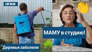 Влог# 486 Влоги с ЮГА☀ МАМУ в студию! 😅👏 Деревья ЗАБОЛЕЛИ 🌳🌱