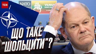 ❓ Чим відрізняється "шольцити" від "макронити"? Вільнюс приніс нові слова