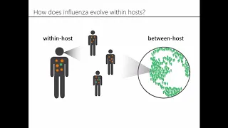 Xue: Evolutionary dynamics of influenza across spatiotemporal scales.