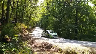 Peugeot 208 R3 rallye