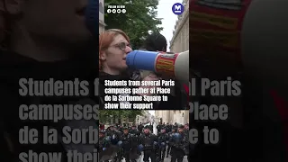 French students take over campuses in support of Palestinians