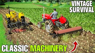 BEAUTIFUL CLASSIC BEET MACHINERY | Vintage Survival | Episode 53