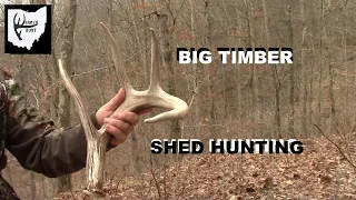 Shed Hunting 2020: Big Timber Bucks *BIG Shed and Match Set
