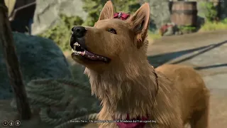 Make sure you don't miss this Good Boy in Baldur's Gate 3