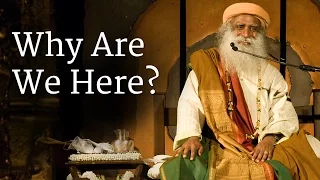 Why Are We Here? | Sadhguru