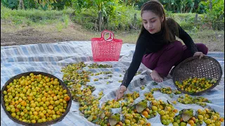 Fresh jujube in my countryside and cook food recipe - Polin lifestyle