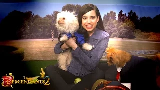 Sofia Carson Plays with Puppies! | Dogscendants 🐶| Descendants 2