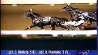 1997 Red Mile Lexington NORTHERN LUCK Tattersalls Pace Mike Lachance