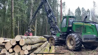 Смешанный Лес,Рабочие моменты в лесной сфере
