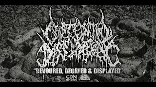 Existential Dissipation - Devoured, Decayed & Displayed