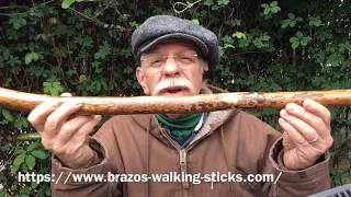 Awesome walking stick