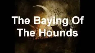 Opeth - The Baying Of The Hounds (VST cover)