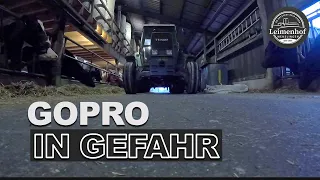 SEHR ZART #FarmVlog 108