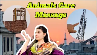 Animal’s Care ! Massage!!❤️😇