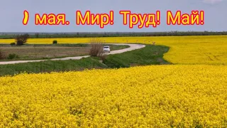 С праздником 1 мая! 🌞Мир!Труд! Май!