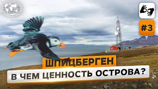 Шпицберген: в чем ценность острова?  | @Русское географическое общество