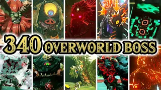 Zelda Tears of the Kingdom - All Overworld Bosses + Locations