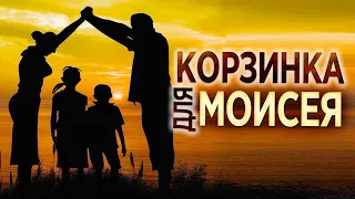 #356 Корзинка для Моисея - Алексей Осокин - Библия 365 (2 сезон)