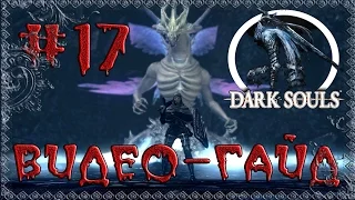 Видео-гайд по Dark Souls: Prepare to Die edition. #17 "Фатум Сигмаера и Шивы. Путь Дракона"