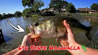 Spawning Bass Can't Resist This Lure! | Spring Bass Fishing