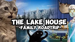 CAT MEMES: FAMILY ROADTRIP COMPILATION EP.9