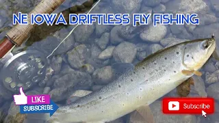 NE Iowa Driftless Fly Fishing