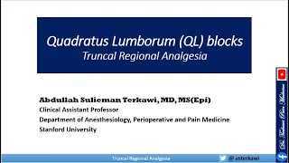 Quadratus Lumborum (QL) Block