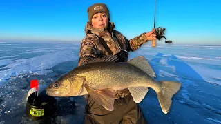 Red Lake Walleye Fishing! (Early Ice 2022)