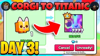 Corgi to Titanic #3 - AUCTIONS ARE BROKEN & FIRST HUGE! (Pet Simulator 99)