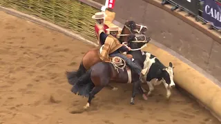 RODEO EN VIVO 36 SERIE CRIADEROS 2018