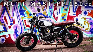 Mutt Mastiff 250 | Who Said Small Capacity Is No Fun!