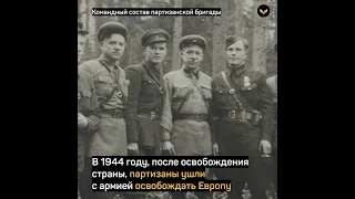 Как служили солдаты 28 национальностей в одной партизанской бригаде