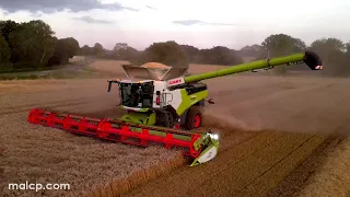 4Kᵁᴴᴰ Harvest 2023: Claas Lexion 8900 TT with Convio 1230 Flex header on demo from Manns UK - part 2