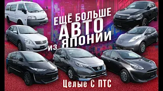 Ещё больше авто из Японии! Откуда берутся такие цены? Что творится со сроками?